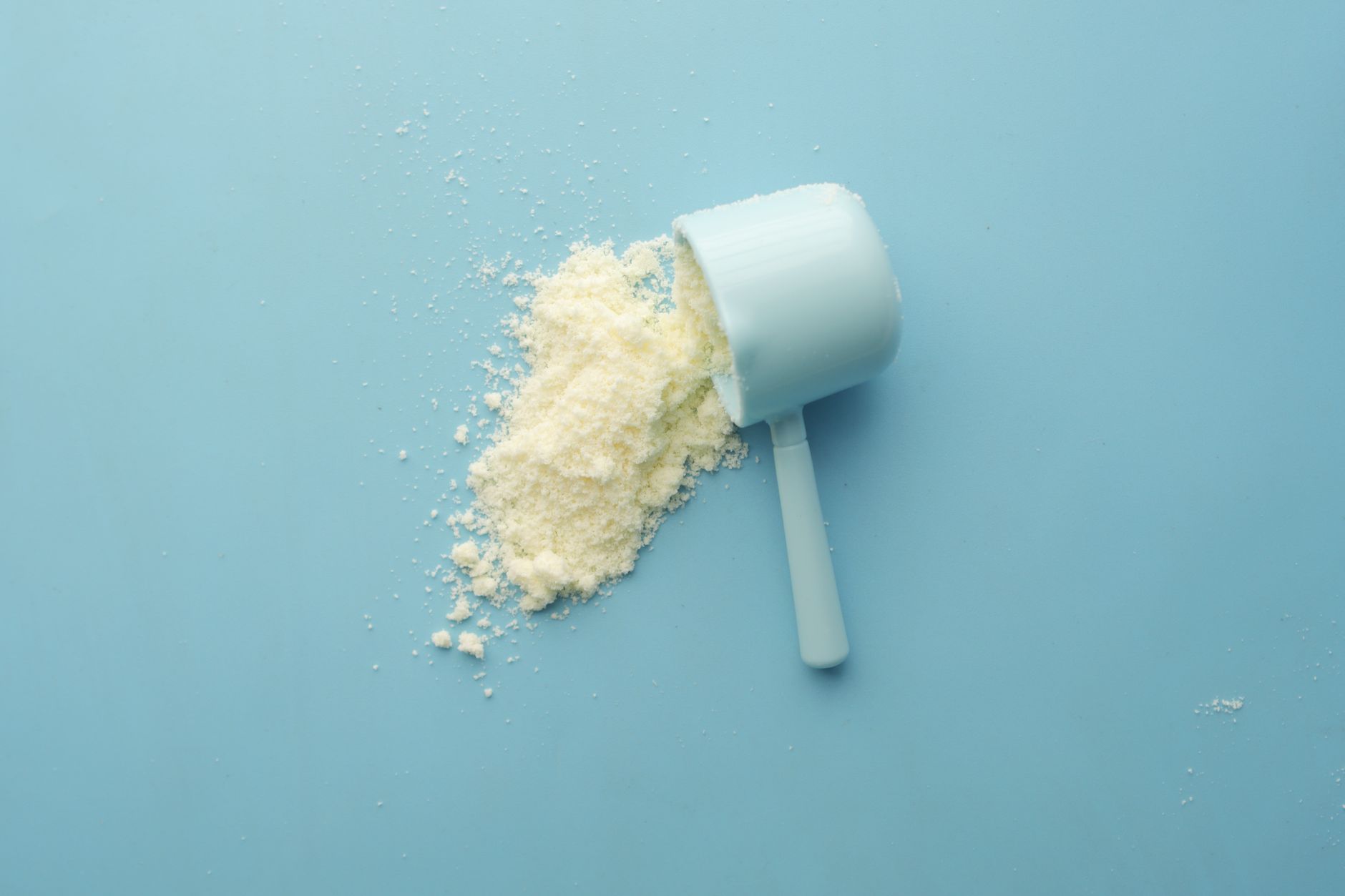 Protein Pulver für Muskelaufbau - Der Testsieger — protein pulver muskelaufbau testsieger