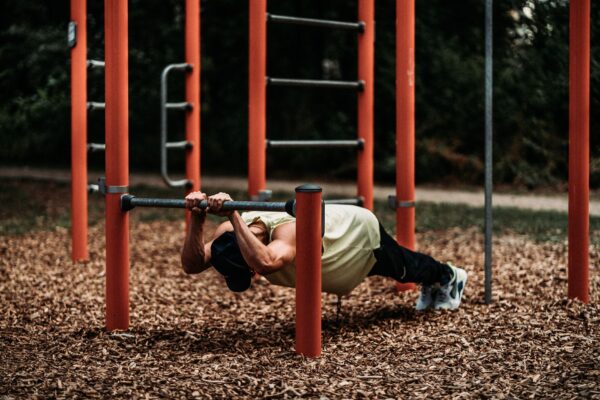 Trainingsplan Rückenmuskeln 2026: Der ultimative Guide — trainingsplan für rückenmuskeln