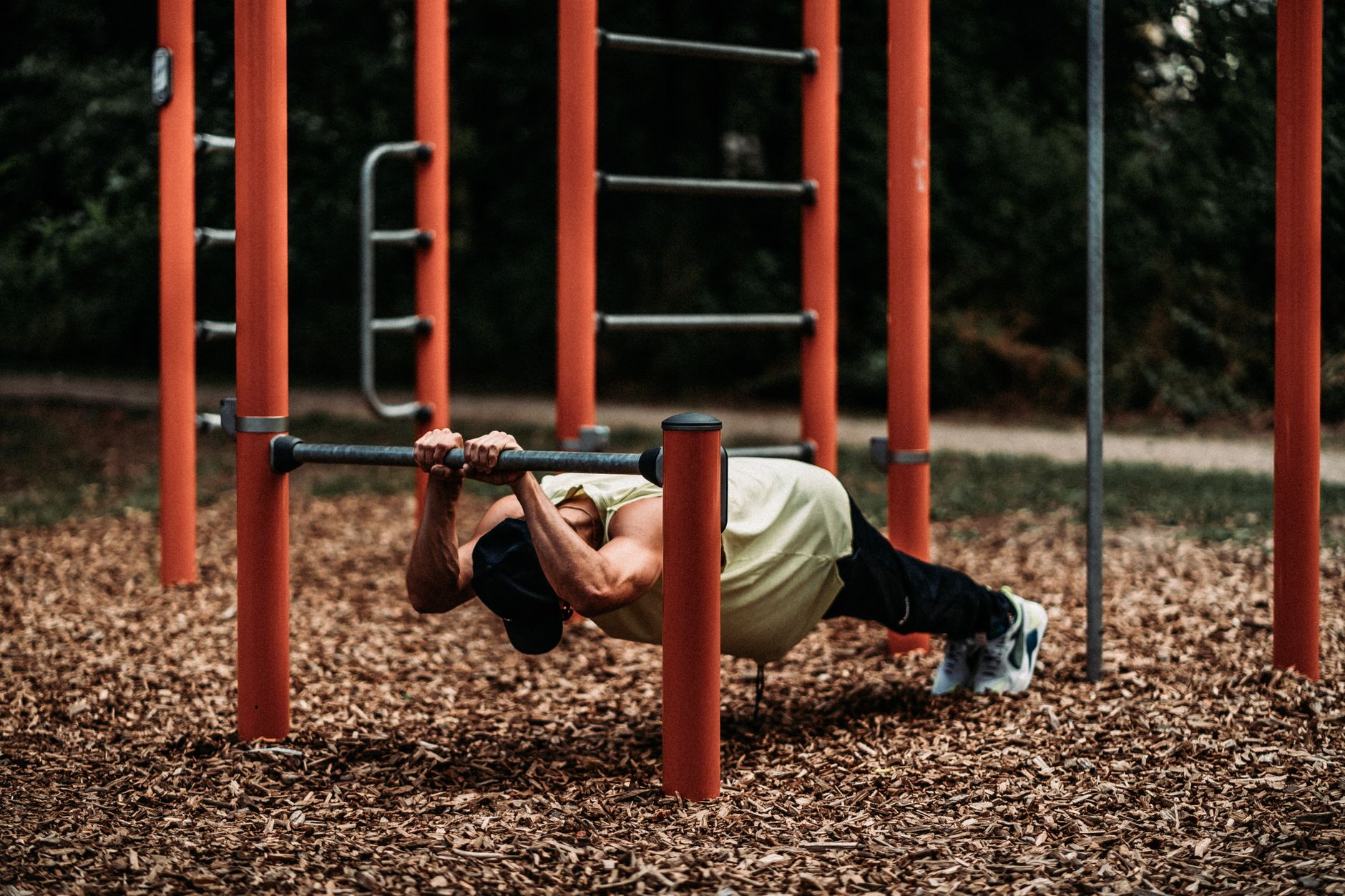 Trainingsplan Rückenmuskeln 2026: Der ultimative Guide — trainingsplan für rückenmuskeln